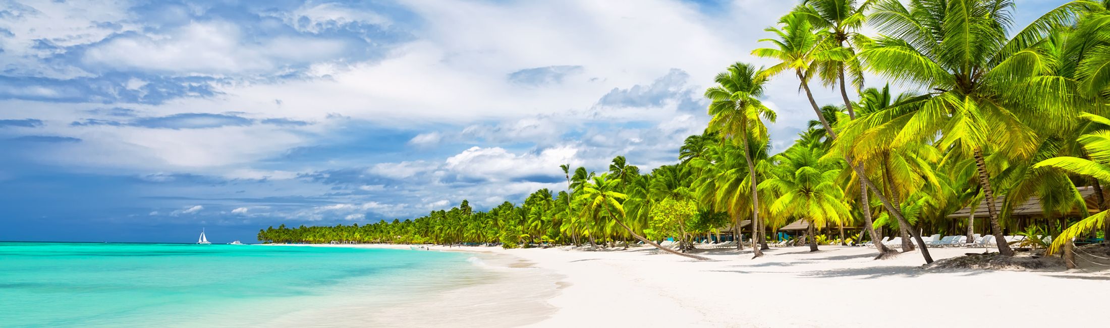 Strand mit Meer und Palmen