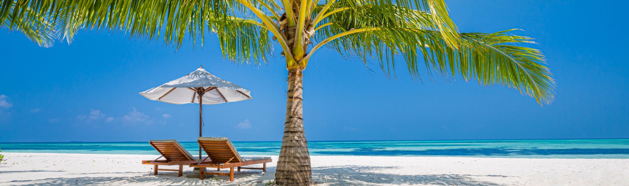 Strand mit Meer und Palmen