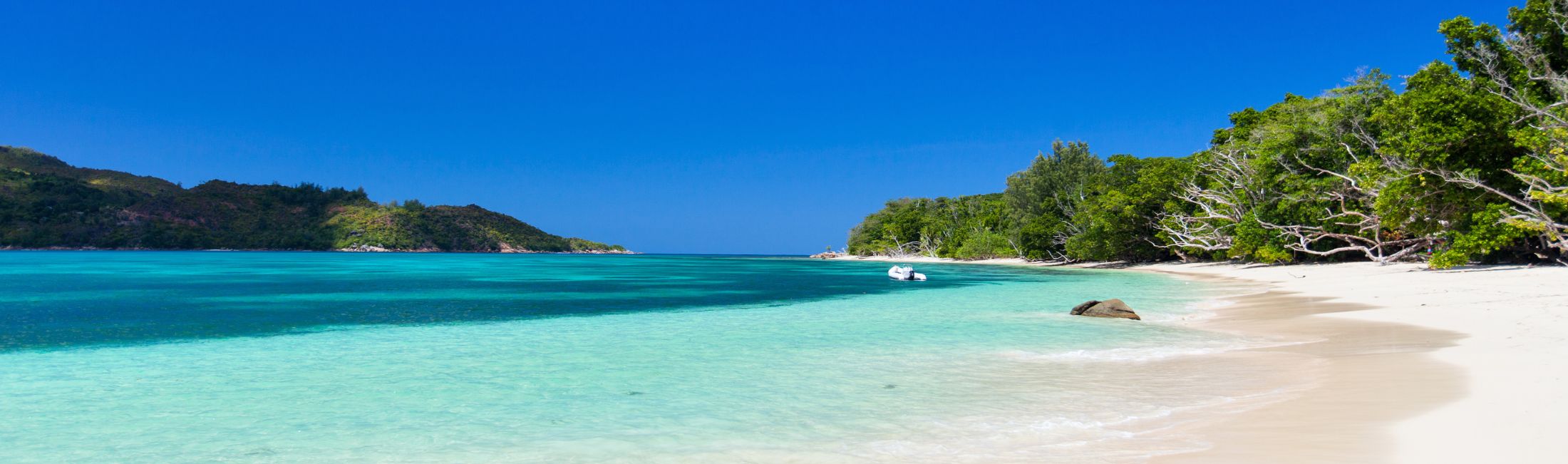 Strand mit Meer und Palmen