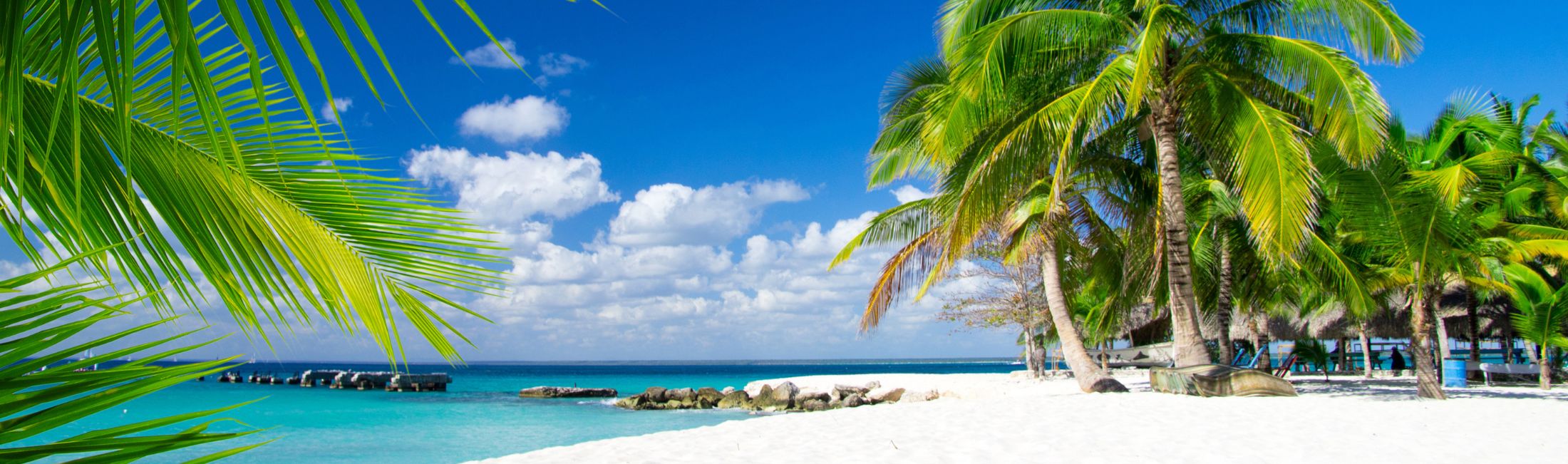 Strand mit Meer und Palmen