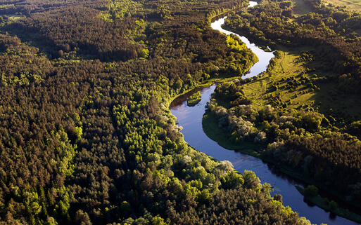Neris Fluss in Litauen © vikau / Shutterstock.com