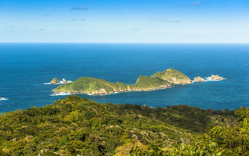 Die Saint Giles Island vor der Küste von Tobago © bcampbell65 / shutterstock.com