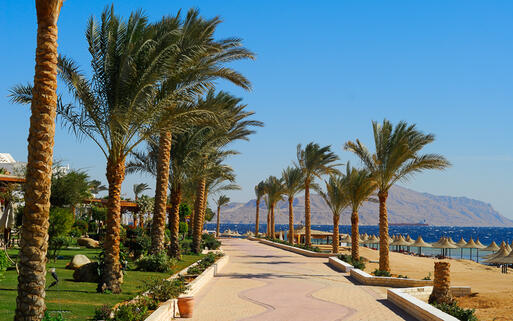 Die Strandpromenade von Sharm el Sheikh ist von Palmen gesäumt © Eric Gevaert / Shutterstock.com