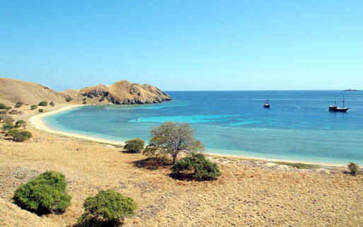 Der Strand Blue Lagoon auf der Insel Gili Banta nahe des Komodo-Nationalparks © Takashi Usui / Shutterstock.com