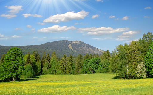 Bayerischer Nationalpark © Vaclav Volrab / shutterstock.com