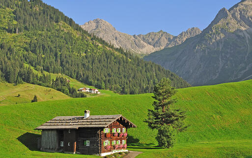 Kleinwalsertal © travelpeter / shutterstock.com
