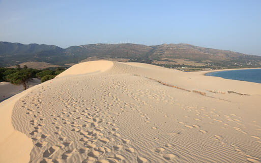 Die Düne am Strand Punta Paloma © Philip Lange / Shutterstock.com