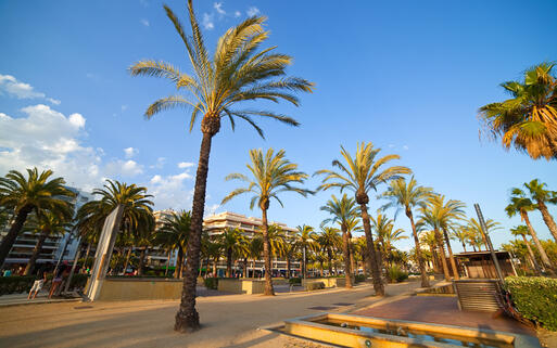 Eine Palmenpromenade in Salou © Iakov Filimonov / Shutterstock.com