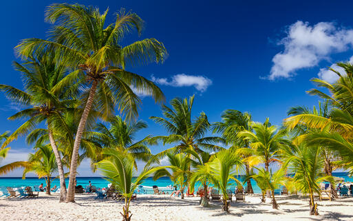 Karibischer Strand auf der Insel Saona, Punta Cana, Dom. Rep. © Natalia Pushchina / Shutterstock.com