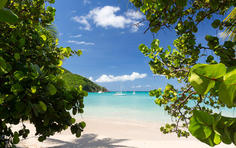 Der Strand Anse Marcel auf der französischen Seite von St. Martin © Steve Heap / Shutterstock.com