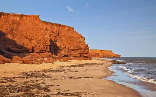 Sandsteinfelsen auf Prince Edward Island © V. J. Matthew / Shutterstock.com