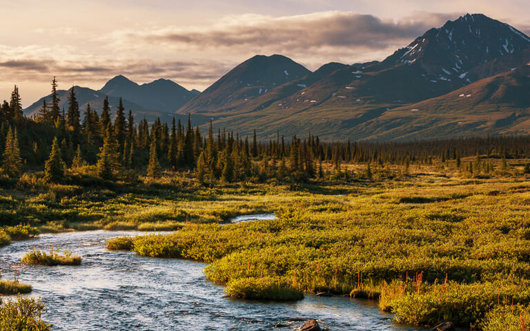 Serenity See © Galyna Andrushko / Shutterstock.com