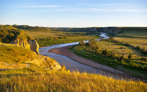 Theodore Roosevelt Nationalpark © RRuntsch / shutterstock.com