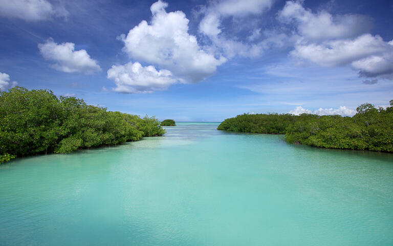 Kanal der Insel Saona im Nationalpark Del Este © colacat / Shutterstock.com