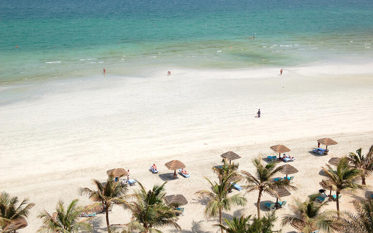 Feinsandiger Palmenstrand in Ajman, VAE © slava296 / Shutterstock.com