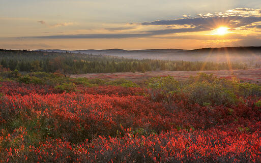 Sonnenuntergang über dem Meadow Berg © JuneJ / shutterstock.com