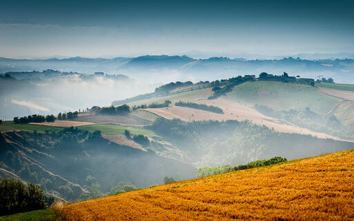 Hügellandschaft im Nebel © Ant Clausen / Shutterstock.com
