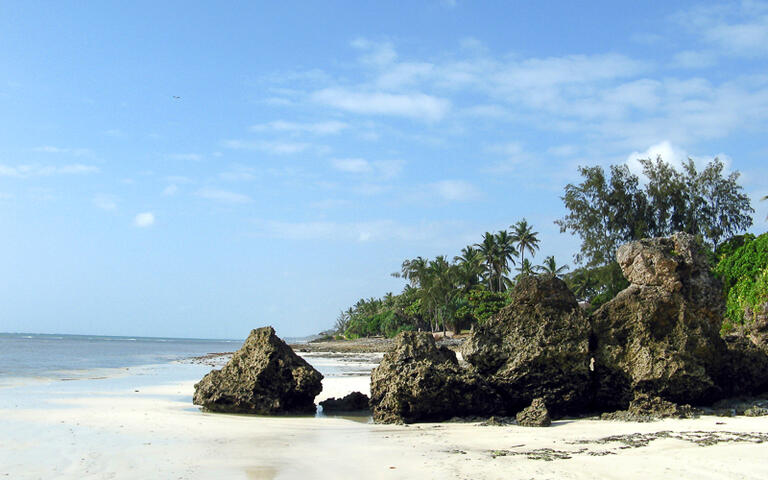 Der feinsandige Diani Beach Strand, Südküste Kenia © Kim Briers / Shutterstock.com