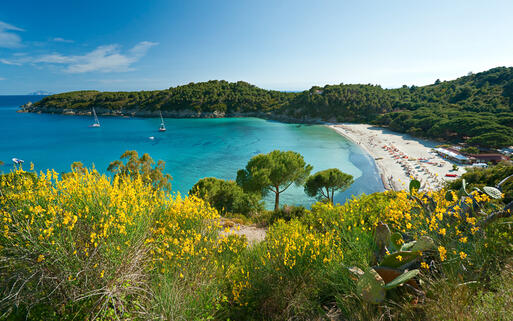 Der Strand von Fetovaia auf der Insel Elba, Italien © Luciano Mortula  / Shutterstock.com