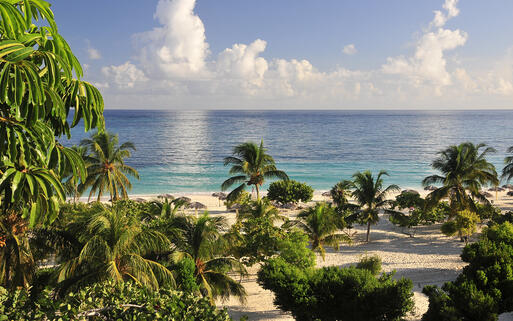 Tropischer Strand mit Sand und Palmen, Kuba © Vojko Kavcic  / Shutterstock.com