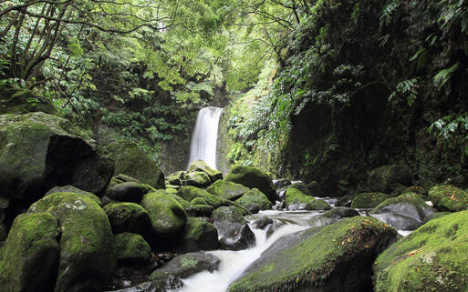 Wasserfall auf der Azoren-Insel Sao Miguel, Portugal © aofoto / Shutterstock.com