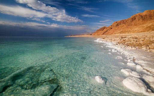 Blick auf die Küste des Toten Meers © Nickolay Vinokurov / Shutterstock.com