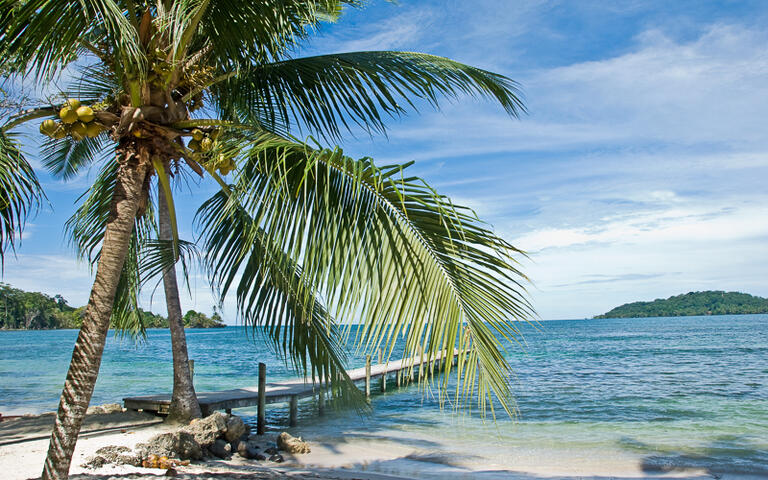 Bocas del Toro, einer der schönsten Strände in Panama © tonisalado / shutterstock.com