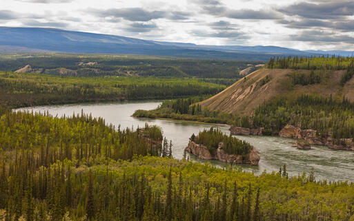 Yukon Fluss Nahe Carmacks © Pi-Lens / Shutterstock.com