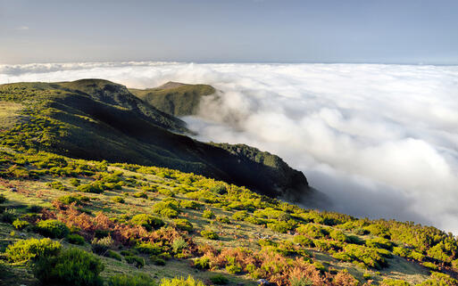 Das Tal Lomba de Risco auf Madeira © Alena Brozova  / Shutterstock.com