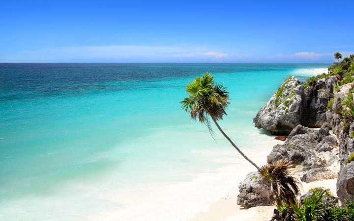 Strand in der Nähe von Tulum, ganz in der Nähe von Cancun an der Riviera Maya © Joao Virissimo / Shutterstock.com