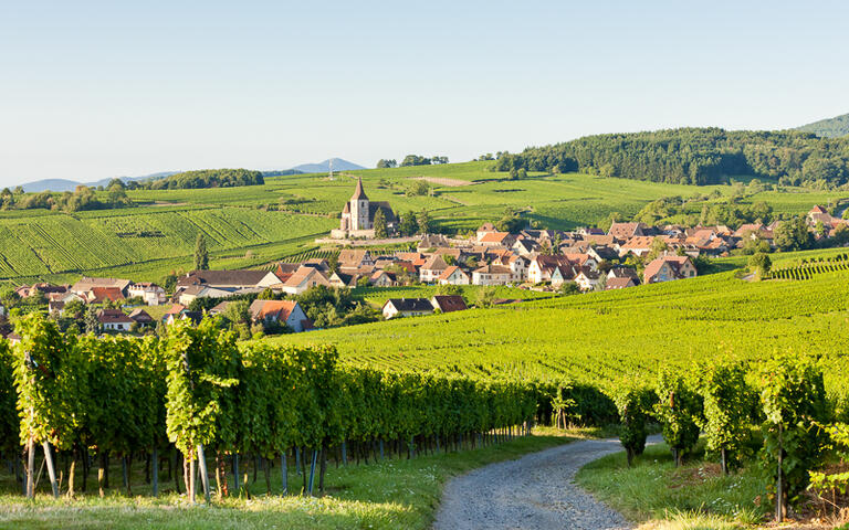 Blick auf das Winzerdorf Hunawihr © PHB.cz (Richard Semik)/ shutterstock.com