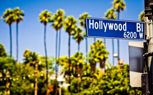 Hollywood Boulevard in Los Angeles mit Palmen im Hintergrund © Andrey Bayda / Shutterstock.com