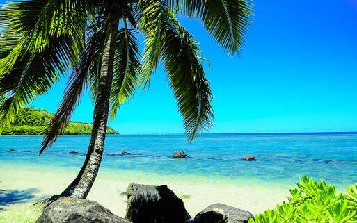 Paradiesischer Strand auf der Hawaii Insel Kauai, USA © Ashley E. York / Shutterstock.com