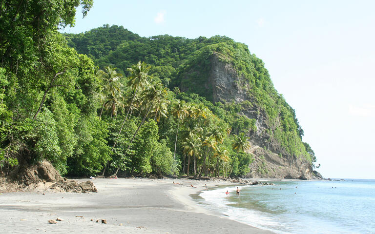 Anse Couleuvre, Martinique © sigurcamp / Shutterstock.com