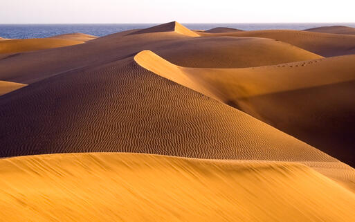 © Mette Brandt / Shutterstock.com Die Wüste "Dunas de Maspalomas" auf Gran Canaria, Spanien © Mette Brandt / Shutterstock.com