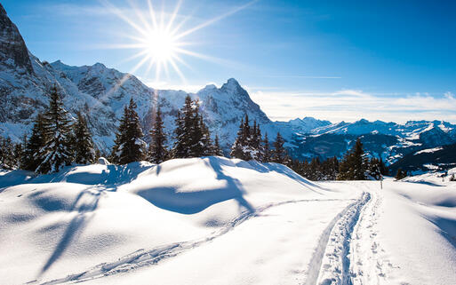 Traumhafte Winterlandschaft in der Gemeinde Grindelwald, Berner Oberland, Schweiz © Peter Wey / shutterstock.com
