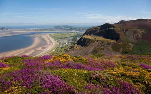Blick vom Berg Conwy Richtung Llandudno und die Küste © Gail Johnson / Shutterstock.com
