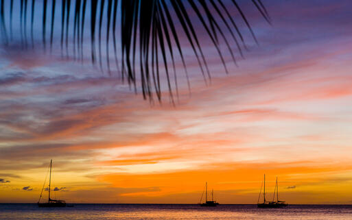 Blick über die Grand Anse Bay © PHB.cz (Richard Semik) / Shutterstock.com