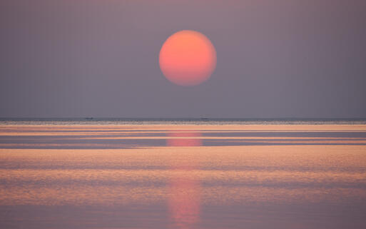 © aleksandr hunta Malerischer Sonnenaufgang am roten Meer © aleksandr hunta