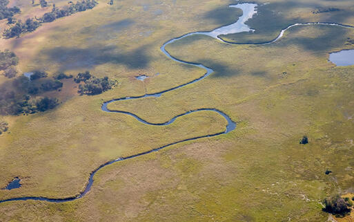 Das Okavangodelta im Nordwesten Botswanas © Simon Greig / Shutterstock.com