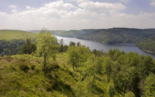 Das Elan Tal und die Cambrian Gebirgsgruppe © David Hughes / shutterstock.com