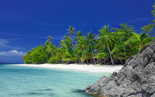 Blick auf einen feinsandigen Palmenstrand, Thailand © Ersler Dmitry / Shutterstock.com