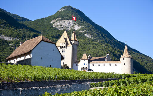Chateau d'Aigle © csp / Shutterstock.com