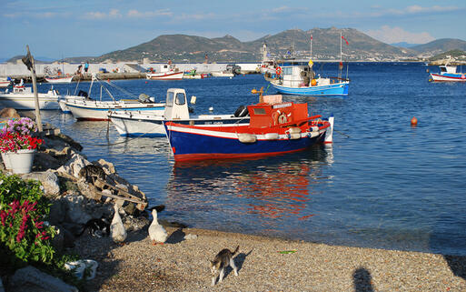 Der belebte Fischerhafen von Kokkari © easyshoot / Shutterstock.com