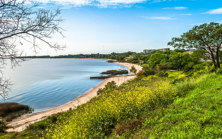 Blick über die Küste mit ihren Sandstränden von Colonia Del Sacramento, Uruguay © kastianz / shutterstock.com