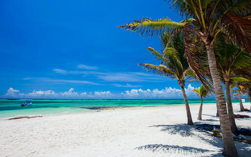 Weisser Sand und Palmen am karibischen Strand von Akumal, Cancun, Mexiko © BlueOrange Studio / Shutterstock.com