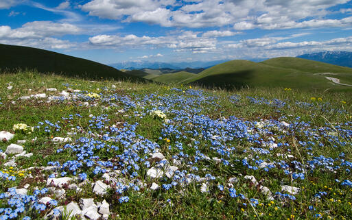 Blick auf das Hochplateau Campo Imperatore in der Provinz L'Aquila © Fabrizio Gattuso / Shutterstock.com