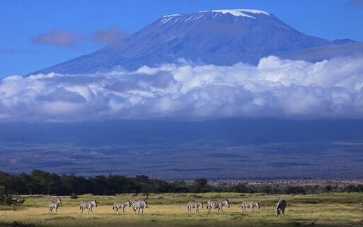 Morgenstimmung am Kilimanjaro © Graeme Shannon / Shutterstock.com