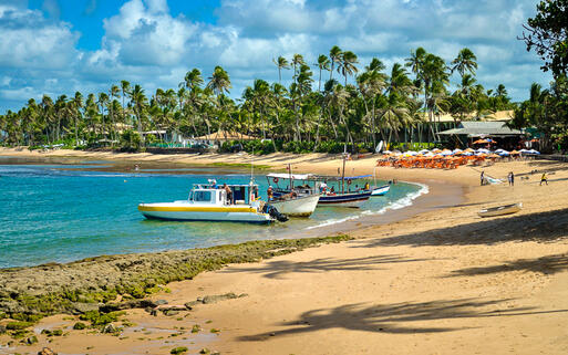Strand Praia do Forte, Bahia © Vitoriano Junior / shutterstock.com