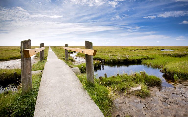 Pfad durch den Wadden See Nationalpark, Schleswig-Holstein, Deutschland © Oliver Hoffmann / shutterstock.com